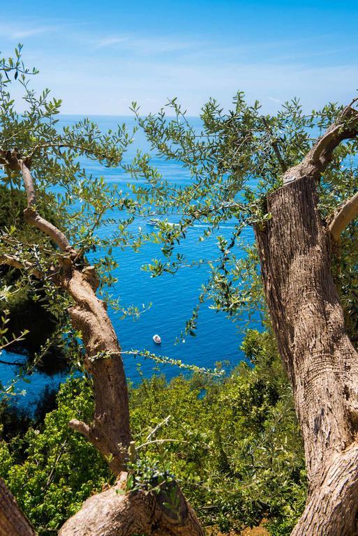 Pousada De Rosa Positano